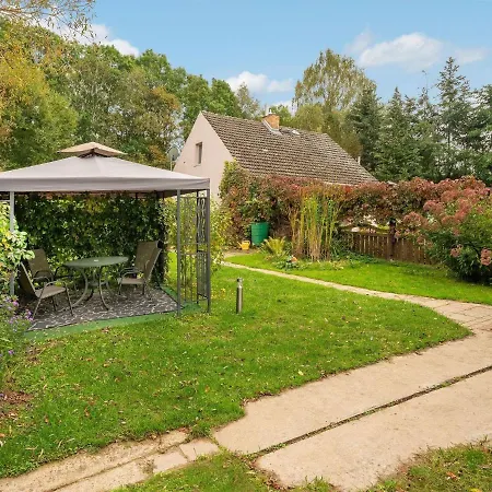Quaint Near Forest In *